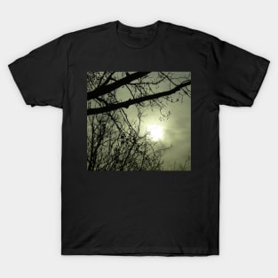 Branches in Mist : photograph T-Shirt